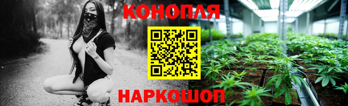 Канабис индика  Шишки марихуана планчик  Ачхой-Мартан  Бошки марихуана OG Kush  Бошки Шишки THC 21%  Вход с VPN 